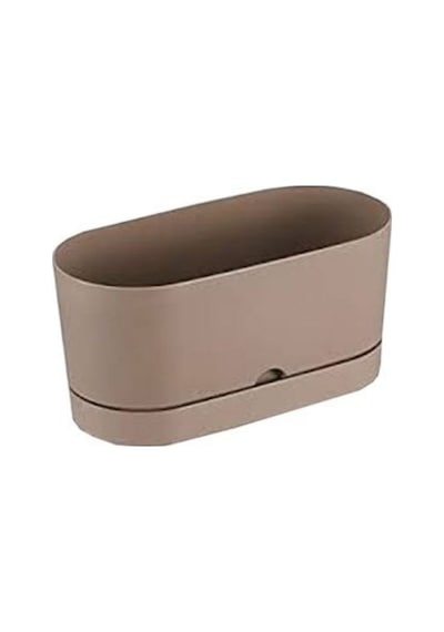 Polıwork Saksı Balkon Begonya 30 Cm Krem