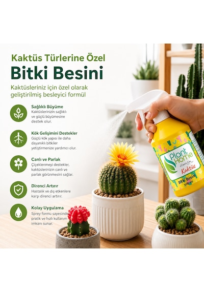Kaktüs Ve Sukulent Bitki Besini Sprey Form Kolay Uygulama 500 Ml