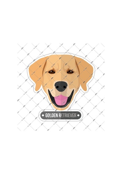 Bay Etiket Andg16 Golden Retriever Kopek Sticker