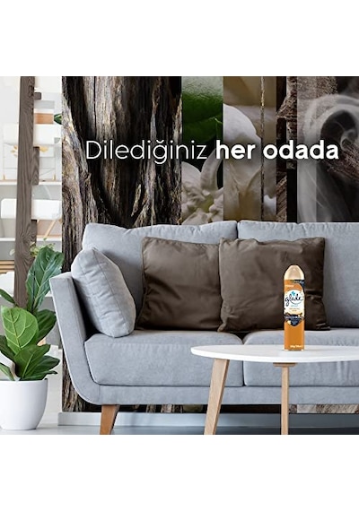 Aerosol Oryantal Oud Oda Kokusu 300 Ml 1 X 300 Ml