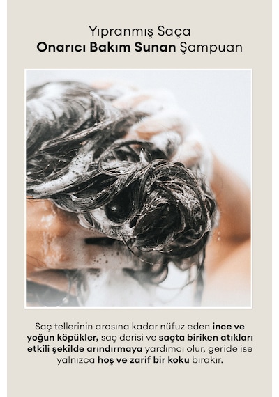 Yıpranmış Saçları Onaran Yoğun Nemlendirici Şampuan Mılk Baobab Original Shampoo Ivory Musk