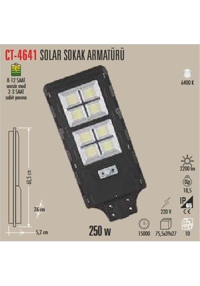 250w Solar Sokak Armatürü Siyah