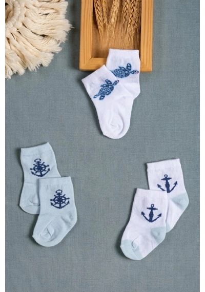 Cocole Socks Erkek Çocuk Soket Çorabı 3 Lü Set Pamuklu Kaplumbağa & Nautical Konsept Desenli Çok Renkli