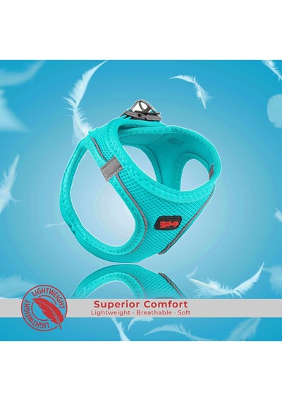 Air-mesh Küçük Ve Orta Irk Kedi Köpek Göğüs Tasması - Yumuşak, Nefes Alabilir, Dayanıklı Ocean, Xsmall