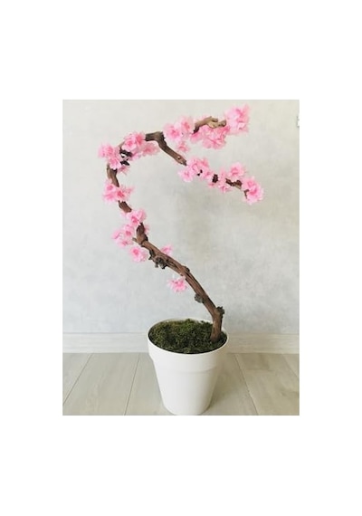 Çiçekleri Çin 60 X 60 Diğer