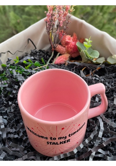 Pembe Kupa, Eğlenceli Kupa Bardak, Welcome To My Timeline Stalker Beyaz