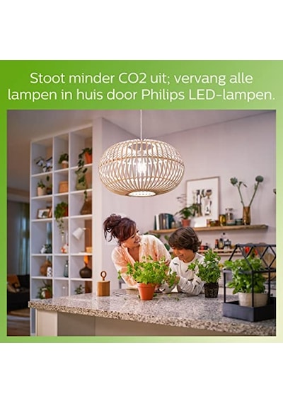 Led Classic 60w St64 E27 Kısılabilir Filament Ampul Wgd90 Enerji Sınıfı D