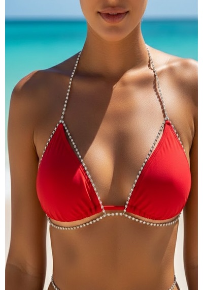 Caş Dekorasyon Gümüş Renk Taşlı Bikini Üstü /bralet /vücut Aksesuarı Gümüş