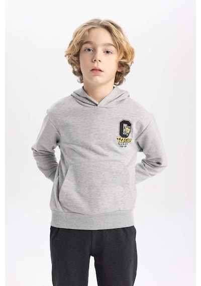 DeFacto Erkek Çocuk Baskılı Kapüşonlu Kalın Sweatshirt B9012A823CWGR210 DeFacto Erkek Çocuk Baskılı Kapüşonlu Kalın Sweatshirt B9012A823CWGR210