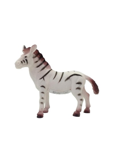 Vahşi Hayvanlar Serisi - Ys2689-zebra