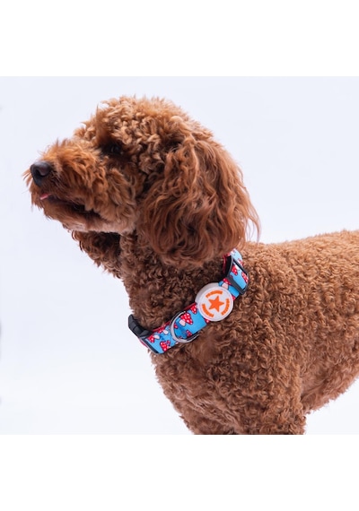 Mushroom Mantar Desenli Köpek Boyun Tasması Ayarlanabilir Köpek Tasması S Kırmızı