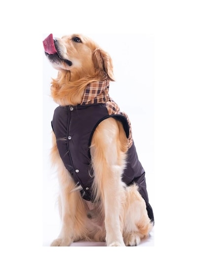 Pawstar Kahverengi Elgin Paws Su İtici Orta-büyük Irk Köpek Puf Yelek Yağmurluk