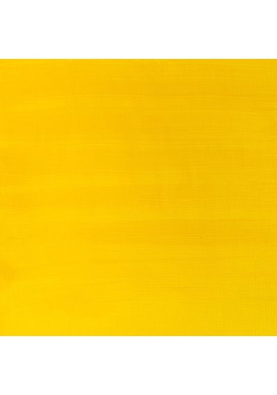 Winsor Newton Cadmium Yellow Medium Hue Akrilik Boya