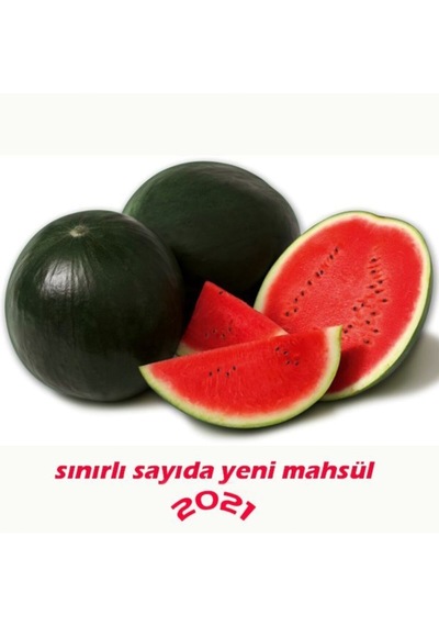 Kara Karpuz Tohumu 10 Adet Doğal Tohum Bağ Bahçe Ve Tarla Yetiştiriciliğine Uygundur