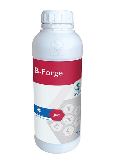 B-Forge (Stoller) 1L