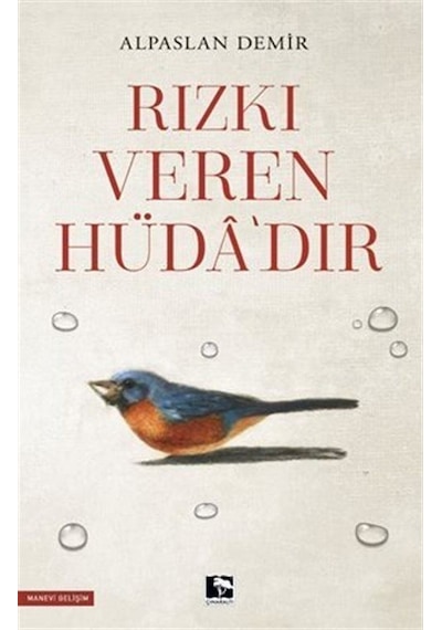 Rızkı Veren Hüdadır - Alpaslan Demir - Çınaraltı Yayınları