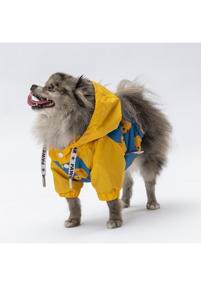 Pawstar Pekin Yağmurluk Küçük Ve Orta Irk
