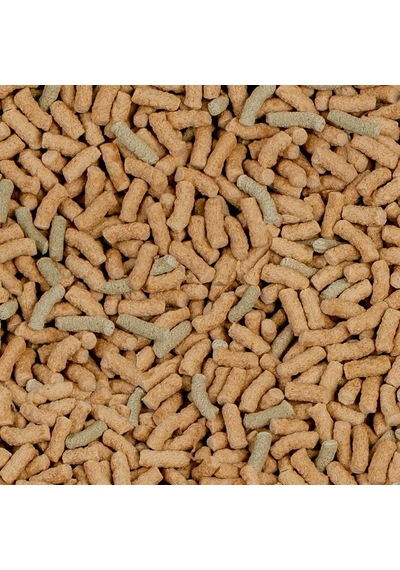 Sera Raffy P Kaplumbağa Yemi 1000 Ml 250 Gr
