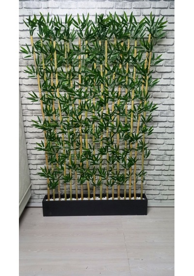 Bambu Speratör 220 Cm Boy 100 Cm Saksıda 15'li Yeşil