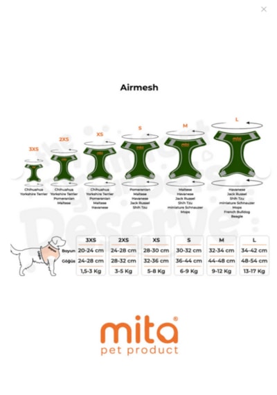 Mita 12 Lı Set Air Mesh L Gögüs Tasması Koyu Yeşil Koyu Yeşil