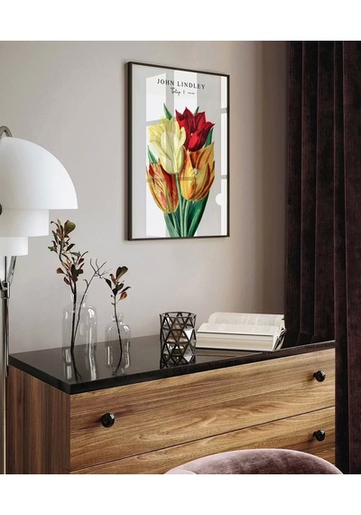 Çerçevesiz Poster John Lindley Lale