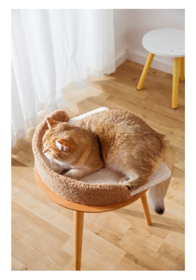 Karamel Kedi Ağacı 3 Katlı Tırmalama Direği Yatak ve Oyuncaklı Bej-Kahverengi Kolay Kurulum