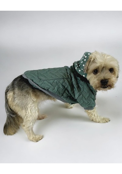 Kemique Green Comfie Köpek Montu Ceketi Köpek Dış Giyim