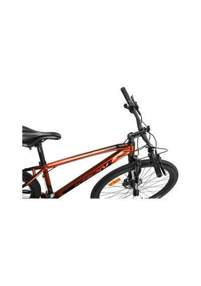 Kron Xc 300 - 29 Mtb - 17' - 18 Vites - H.dısc - Kahverengi - Siyah