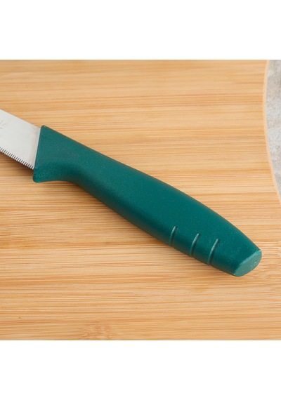 Aryıldız Primo Lazer Ekmek Bıçağı Yeşil 17 Cm Renkli