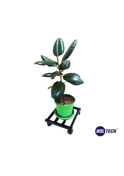 Metal Tasarım Tekerlekli Saksı Altlığı 30 Cm Taşınabilir