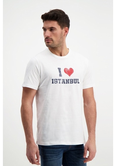 Rich Erkek Bisiklet Yaka Baskılı T-Shirt %100 Pamuk Tişört (481343959)