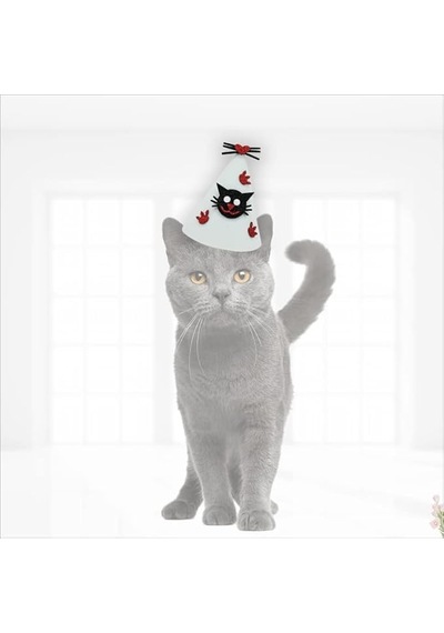 Süsle Bebek Ve Parti Kedi Doğum Günü Şapkası