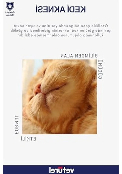 Veturel Kedi Yüz Bakım Solüsyonu