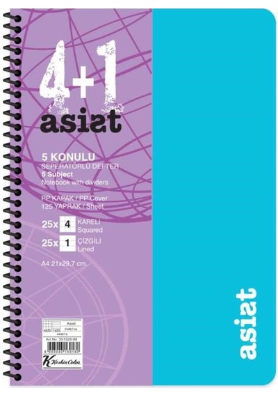 Defter A4 4+1 125 Yaprak Ayraçlı Plastik Kapak Asist Çok Renkli