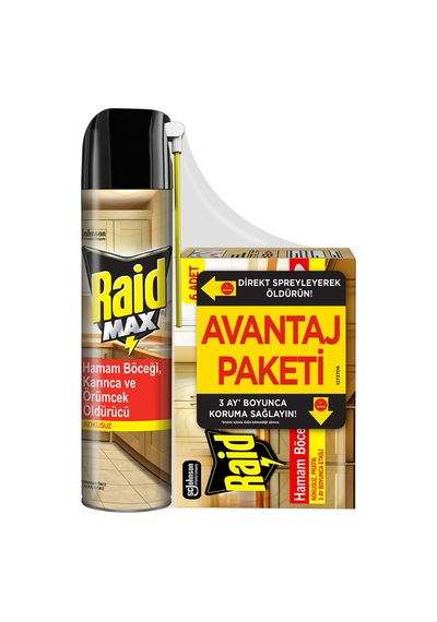 Raid Böcek Yemi & Böcek Aerosol Promo Paket 273 G 4 Adet