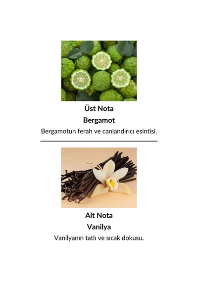 Alescia St-24 Kadın Parfüm EDP 50 ML