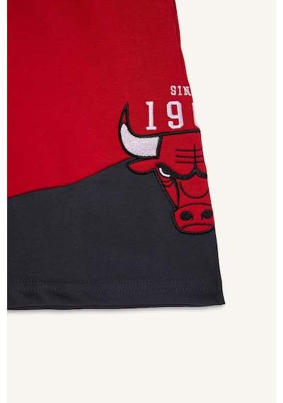Defacto %100 Pamuk Nba Chıcago Bulls Lisanslı Standart Fıt Kırmızı Şort H3864ax26smrd296 Kırmızı-rd296 Defacto %100 Pamuk Nba Chıcago Bulls Lisanslı Standart Fıt Kırmızı Şort H3864ax26smrd296 Kırmızı-rd296