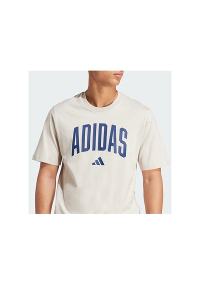 Adidas Collegiate Lineage Grafik Basklı Tişört Wonder Alumina- Wonder Alumina-