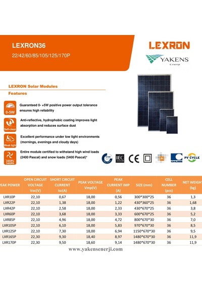 Lexron 42 Watt 12V Polikristal Güneş Paneli Lexron