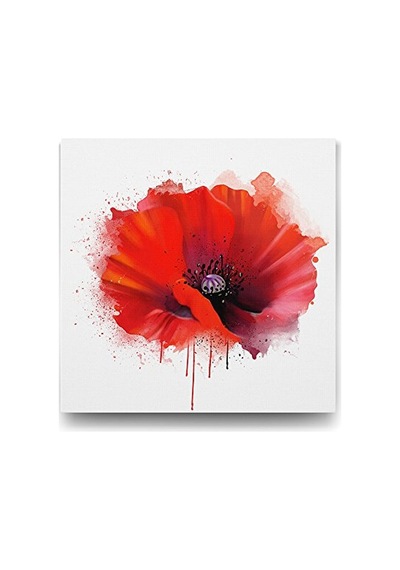 Vektörel Gelincik Tablosu - 60x60cm -