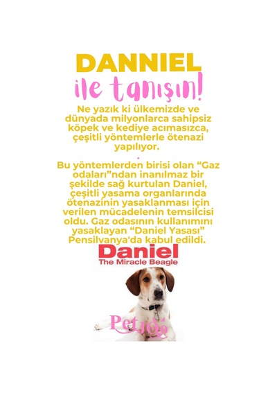 Petjoo 21.Danniel Pembe-Sarı Qr'lı Köpek Künyesi