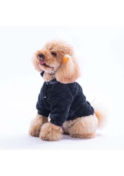 Pawstar Antrasit Jaipur Küçük Irk Köpek Peluş Ceket