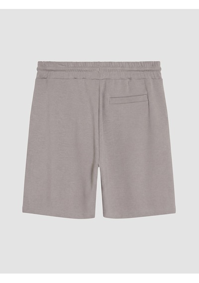 Lcw Vision Gri Regular Fit Erkek Şort