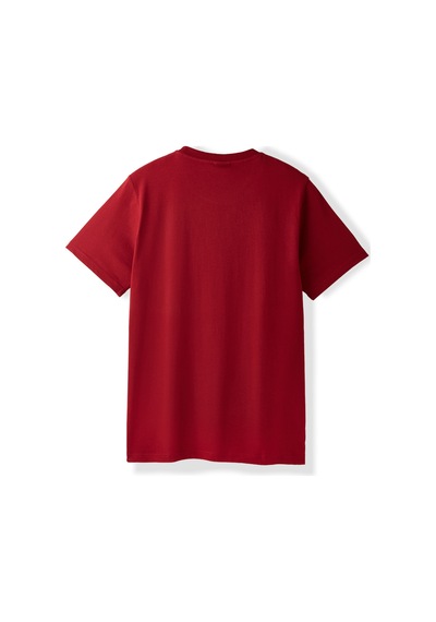 Gsstore Galatasaray Ucl Erkek T-shirt E252217 Bordo