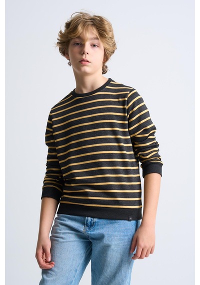 Alexandergardi Alexandergardı Çizgili Bisiklet Yaka Çocuk Sweatshirt Antrasit