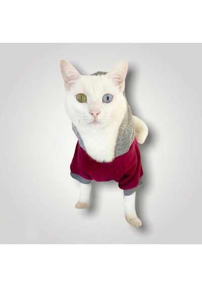Kemique Burgundy Gray Kapşonlu Sweatshirt Kedi Kıyafeti