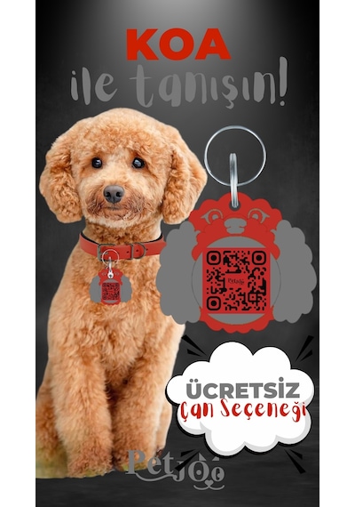 Petjoo 14.Koa Gri-Kırmızı Qr'lı Köpek Künyesi