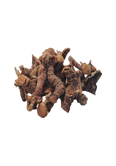 Kök Havlıcan 1 KG