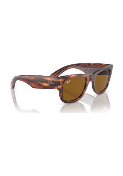 Ray-Ban 0840s 954/33 51 Unisex Güneş Gözlüğü - 19