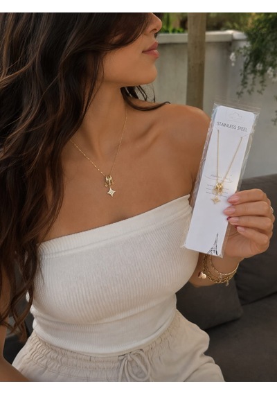 Luis Çelik Charm Kolye Zirkon Taşlı Altın Renk 40+5 Cm